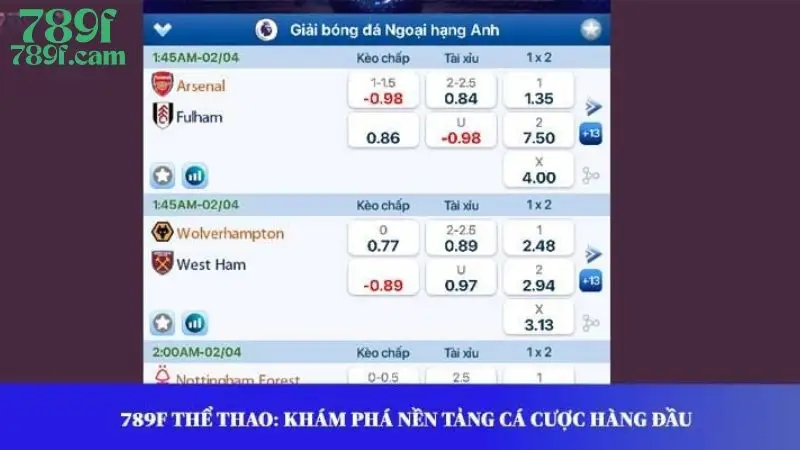 789F Thể thao: Khám phá nền tảng cá cược hàng đầu